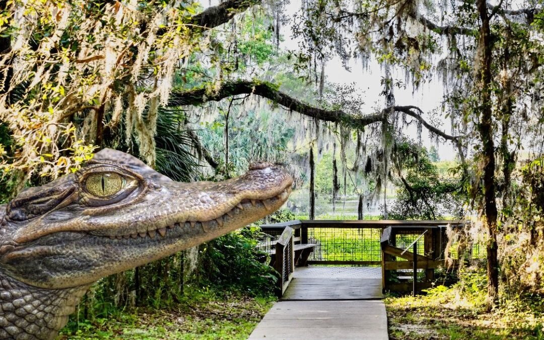 This Scenic State Park Is Florida’s Biggest Hidden Gem