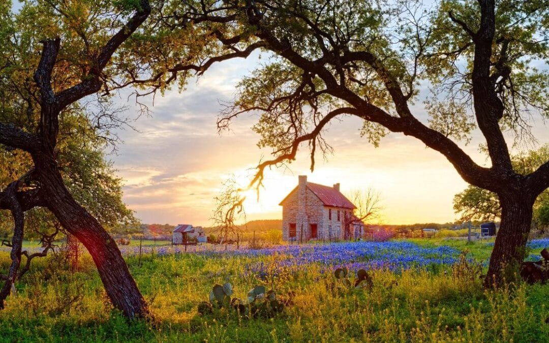 7 Best Small Towns To See Wildflowers In Texas